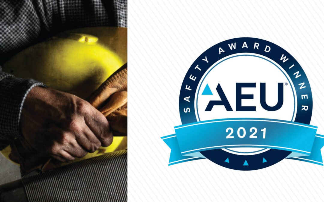Mike Hooks Wins National Award for Excellence in Safety
